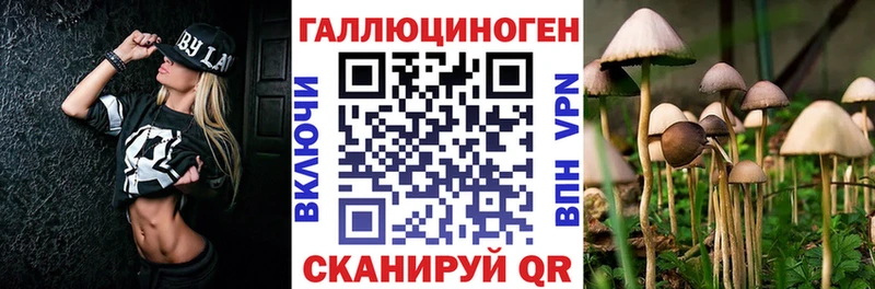 цена   Чулым  Псилоцибиновые грибы GOLDEN TEACHER 